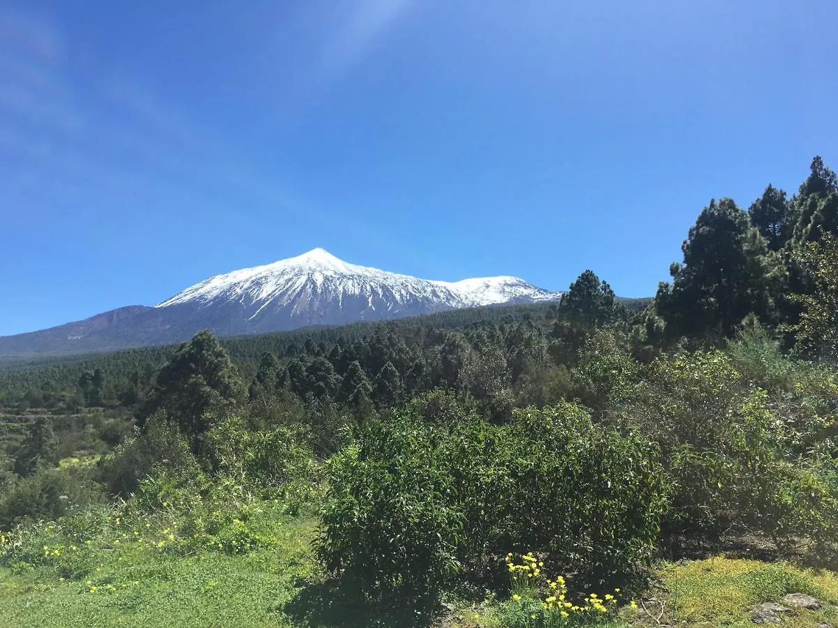 Vila Finca La Chirita Icod De Los Vinos